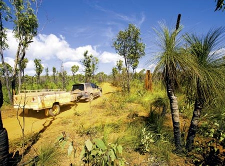 The Old Telegraph Track up Cape York