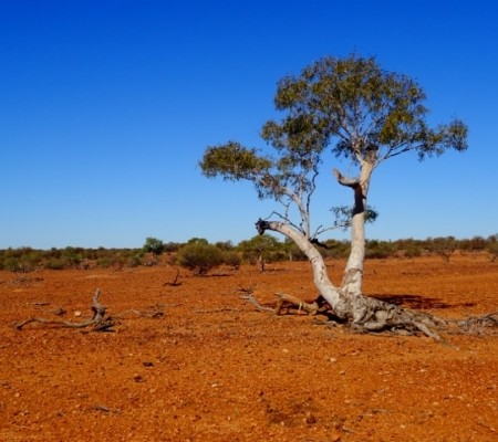 Although dry out here, western Queensland is a place of immense beauty.