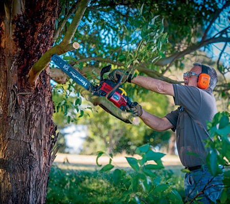 Top 10 chainsaw maintenance tips