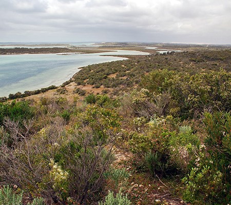 Spectacular coastline from Yangie Lookout.