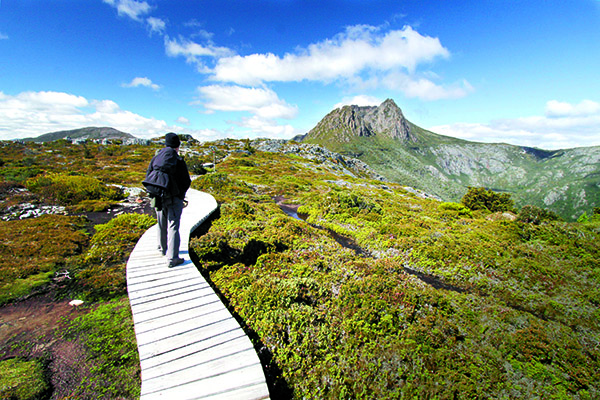 Australia's Best Day Walks