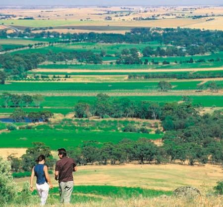 Barossa a hit with tourists