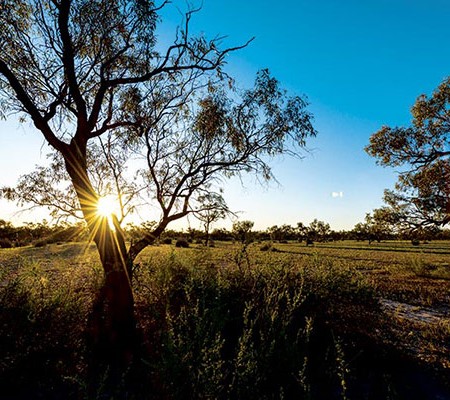 Menindee is a haven of historical sites, pristine riverside camping and wildlife. 