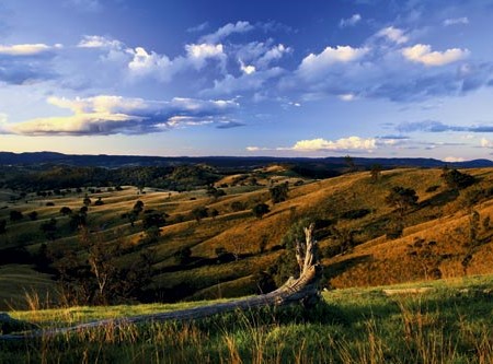 Mudgee countryside, NSW.