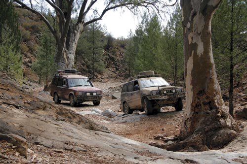 4wd off road in a forest