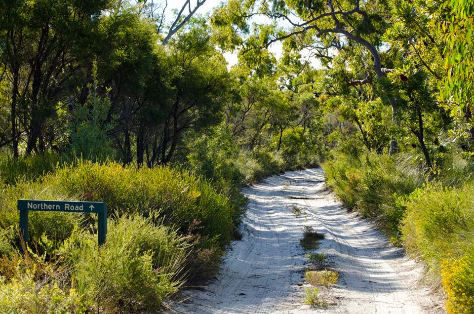 Fraser Island 4wd Tracks Fraser Island Is A Marvel Of Nature That You Can Only Explore Off-Road, And  Its Best 4Wd Tracks Are The Perfect Way To Discover What Makes This Sand  Island So Amazingly Diverse.