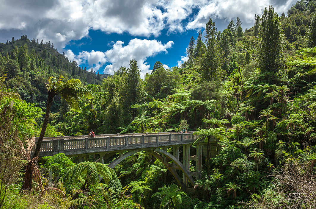 Bridge of nowhere whanganui