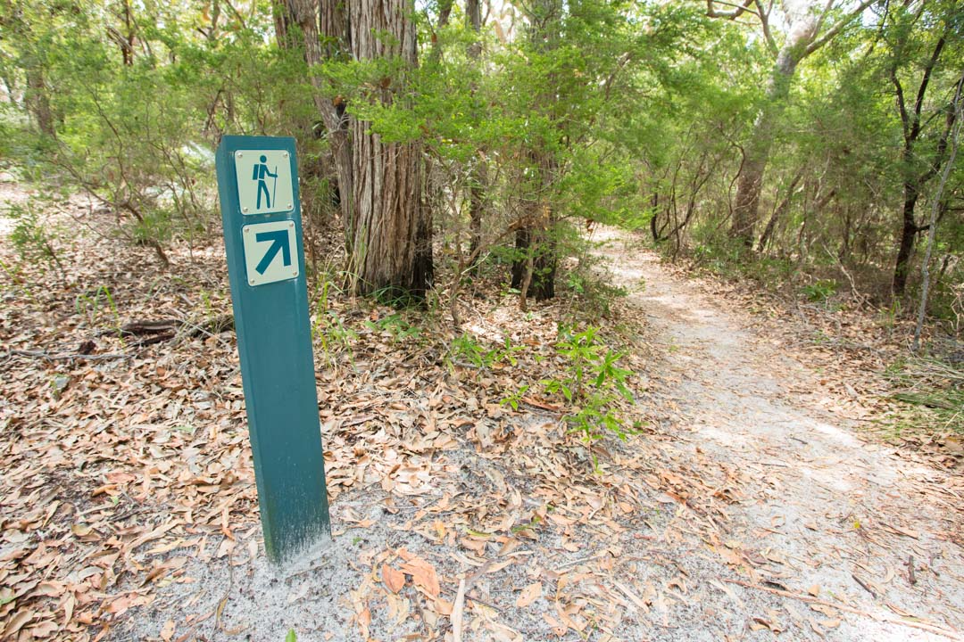 A sign for a walking trail on the Fraser Island Great Walk