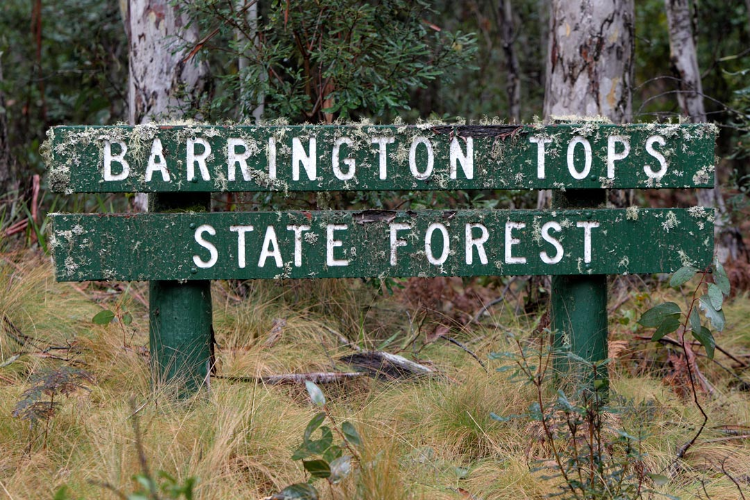 Barrington Tops State Forest sign