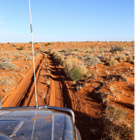 Driving along the French Line in the Simpson Desert into Witjira National Park and Dalhousie Springs.