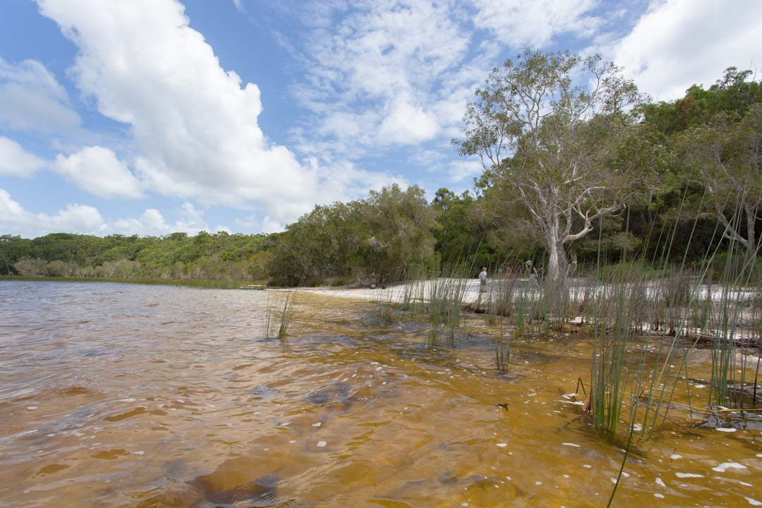 Lake Garawongera on Fraser Island.