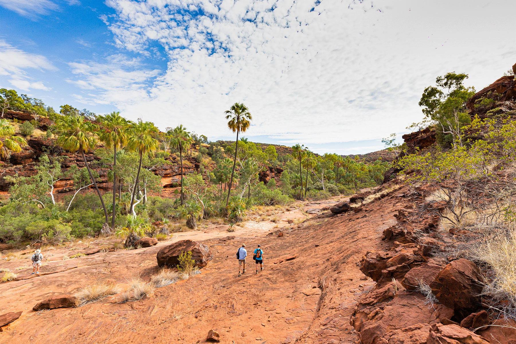 The walking trails