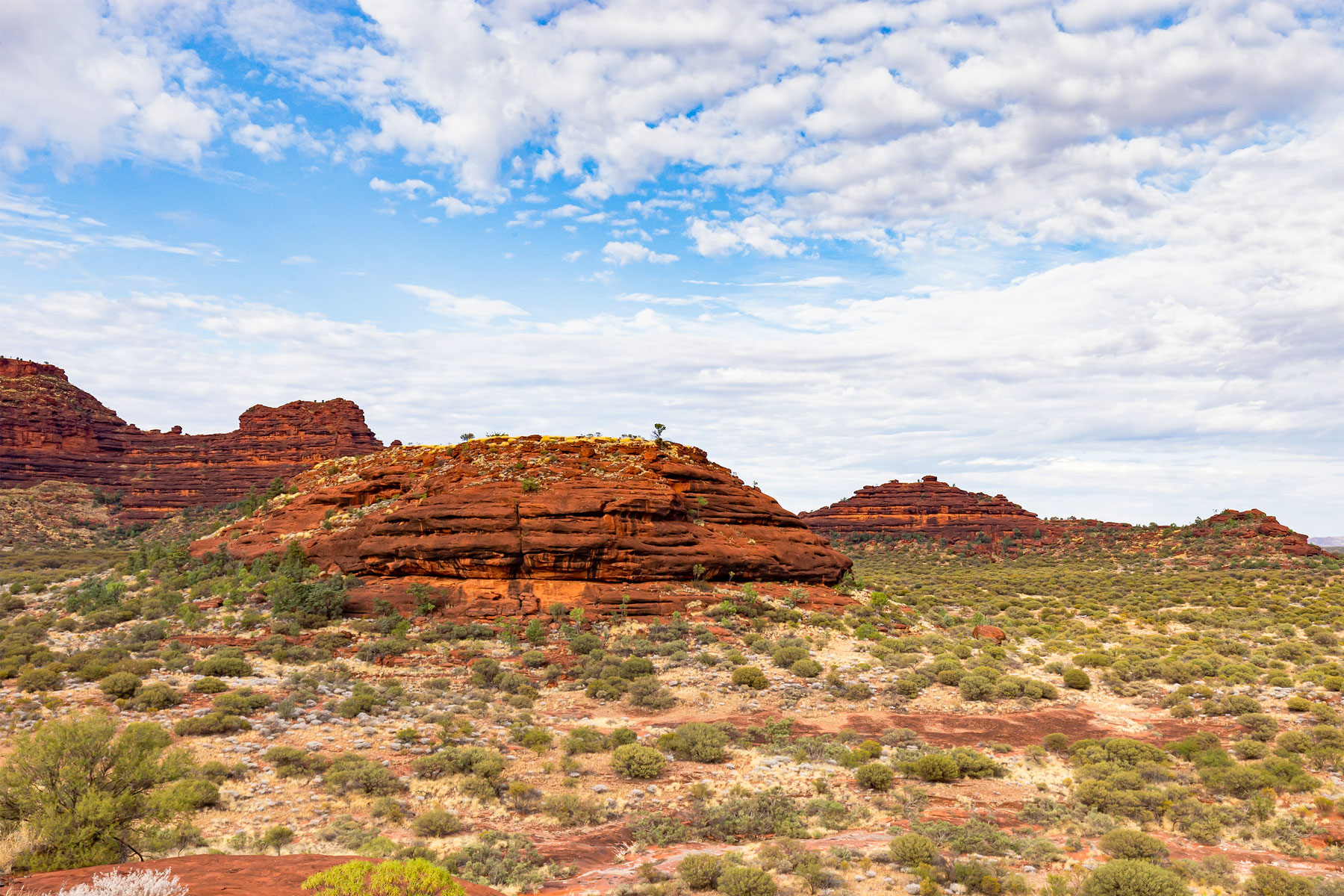 stunning landscape views from Kalarranga Lookout