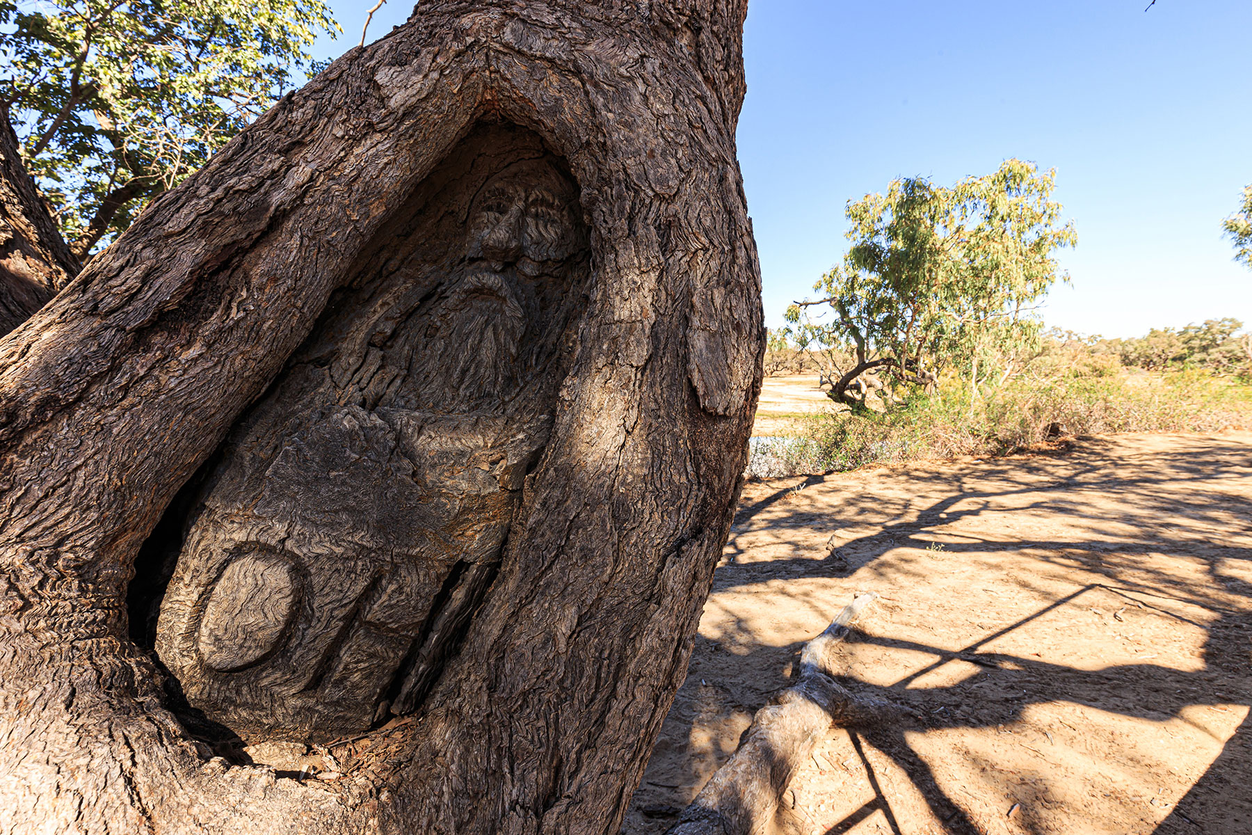 John Dick carved Burke's face into this tree in 1898, about 30 metres downstream of the Dig Tree