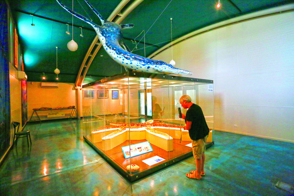 Person looking at an exhibit