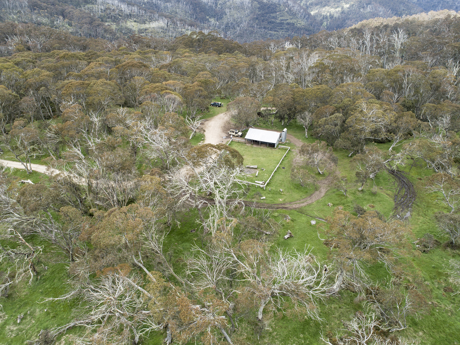 An aerial view of Lovick Hut amongst the snow gums