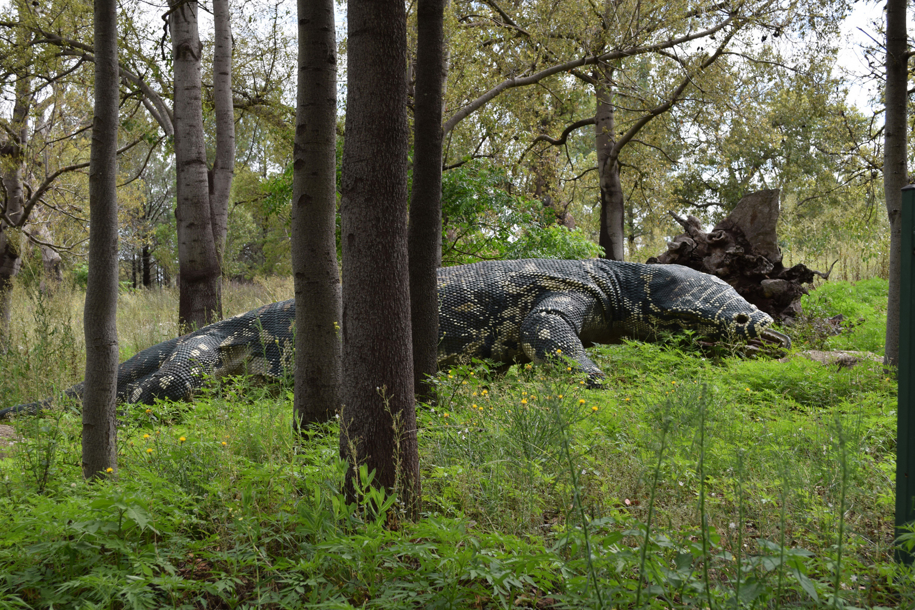 A large outdoor dinosaur sculpture