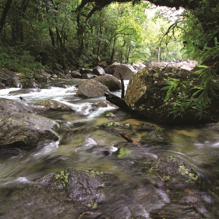 A fast flowing stream, following rainfall