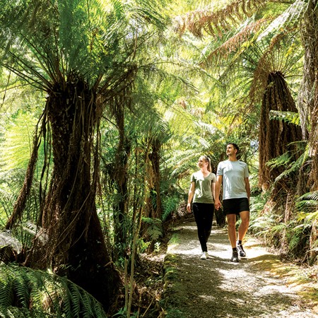 Hiking through the thriving forest of Tarra Bulga. PICTURE CREDIT: Visit Victoria